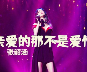 《亲爱的那不是爱情》G调吉他谱