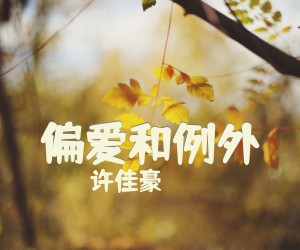 《偏爱和例外》C调吉他谱