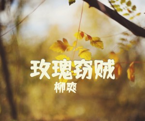 《玫瑰窃贼》C调吉他谱