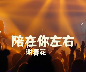 《陪在你左右》G调吉他谱
