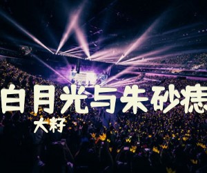 《白月光与朱砂痣》G调吉他谱