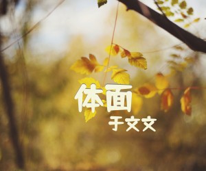 《体面》G调吉他谱