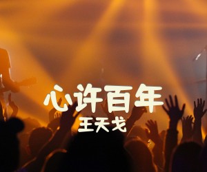 《心许百年》C调吉他谱