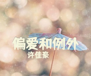 《偏爱和例外》G调吉他谱