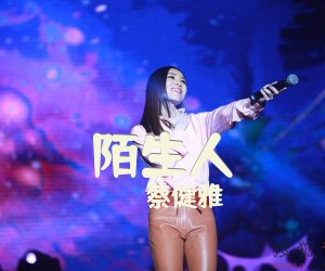 《陌生人》G调吉他谱