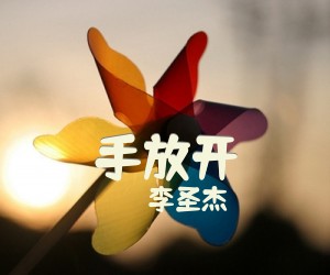 《手放开》C调吉他谱