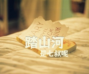《踏山河》G调吉他谱