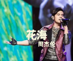 《花海》G调吉他谱