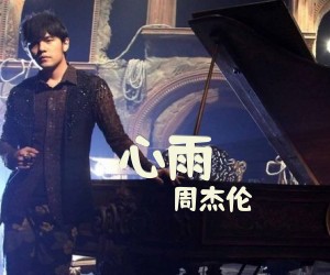 《心雨》C调吉他谱