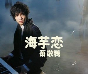 《海芋恋》G调吉他谱