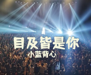 《目及皆是你》G调吉他谱