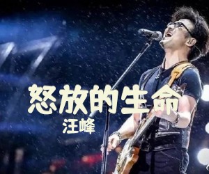《怒放的生命》吉他谱