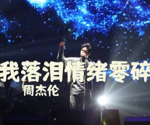 《我落泪情绪零碎》G调吉他谱