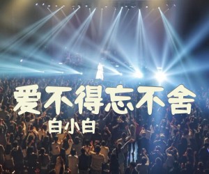《爱不得忘不舍》C调吉他谱