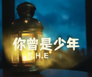 《你曾是少年》G调吉他谱