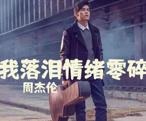 《我落泪情绪零碎》C调吉他谱