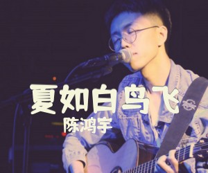 《夏如白鸟飞》C调吉他谱
