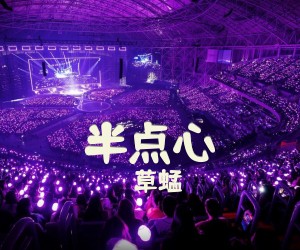 《半点心》G调吉他谱