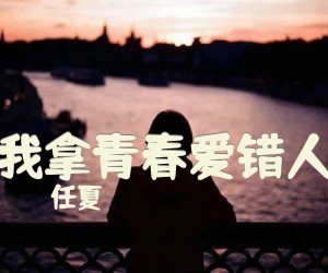 《我拿青春爱错人》G调吉他谱