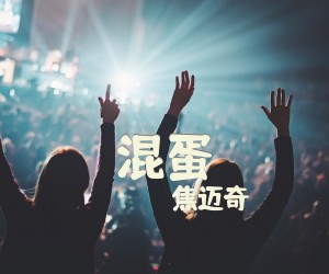 《混蛋》C调吉他谱