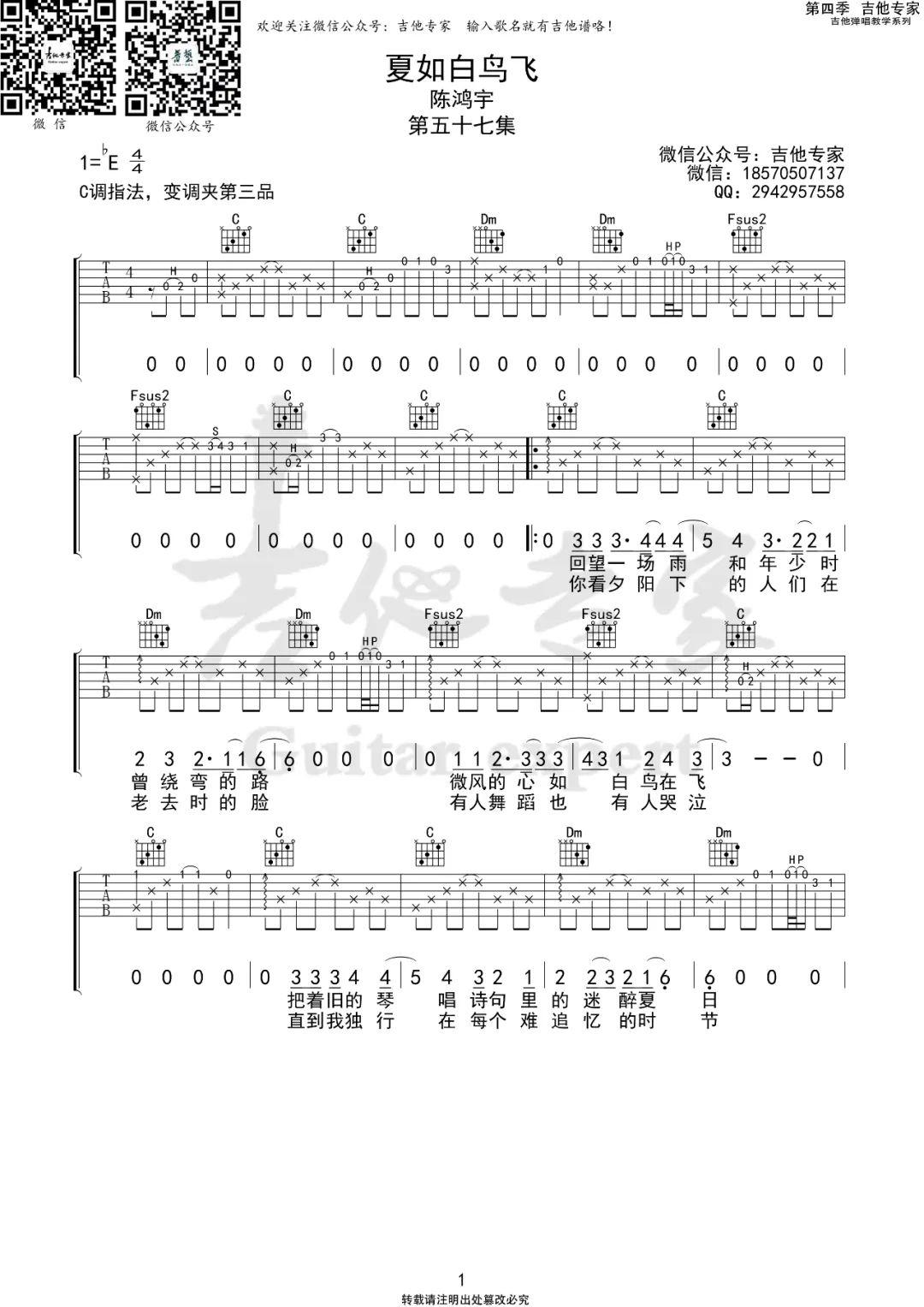《夏如白鸟飞》C调吉他谱